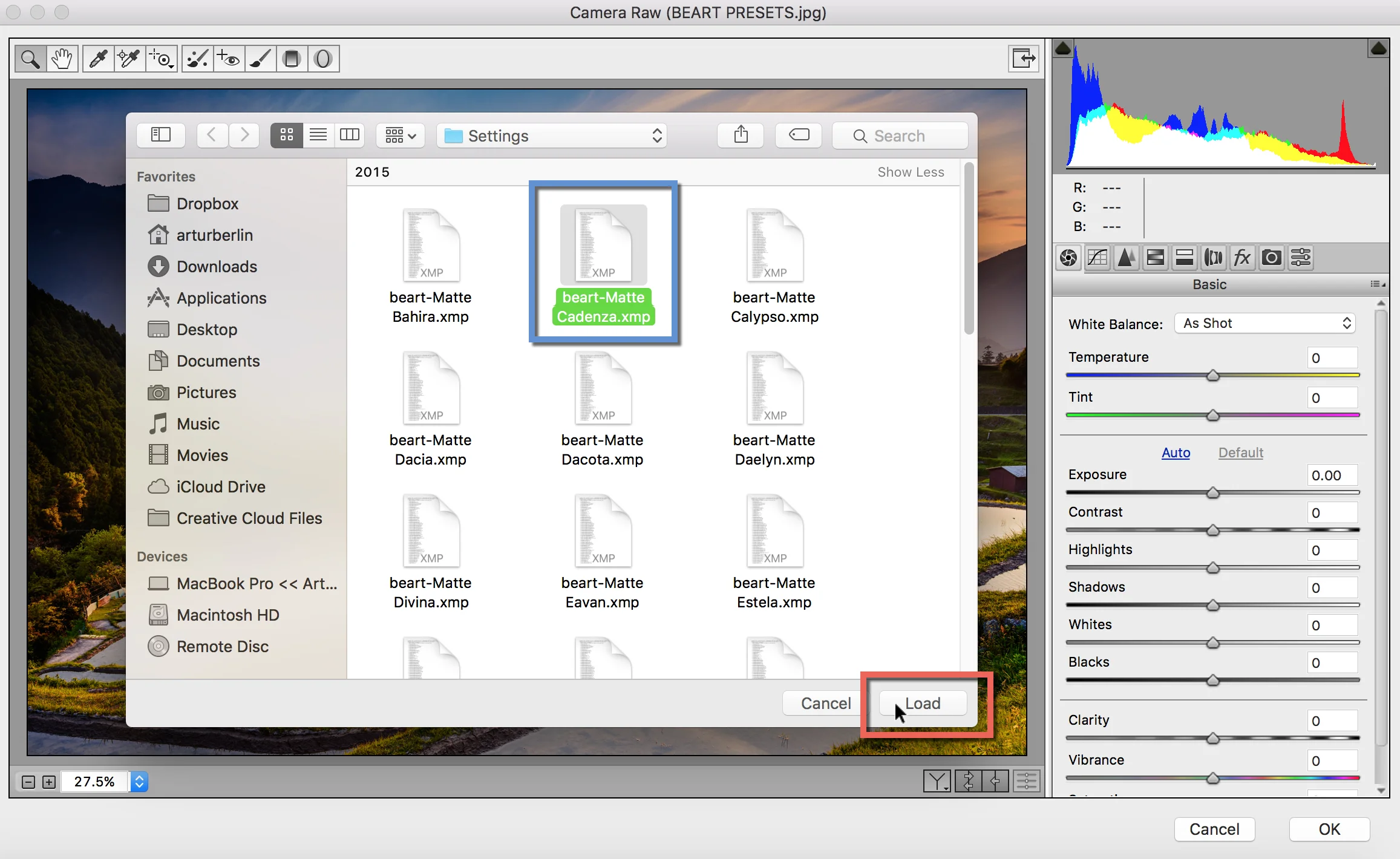 Camera Raw Photoshop на Mac